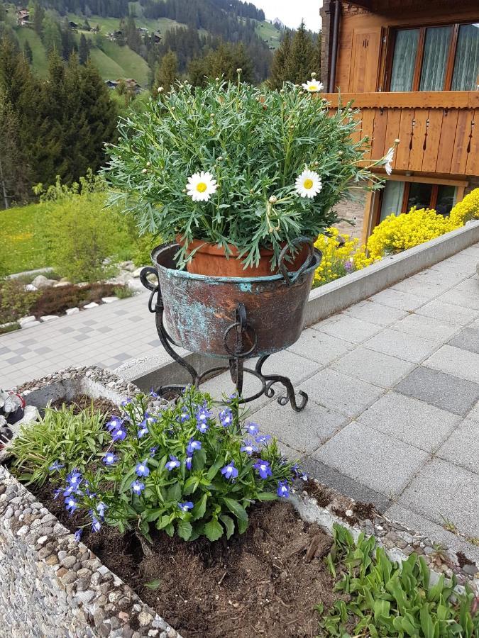 Chalet Grüneggli Adelboden Dış mekan fotoğraf