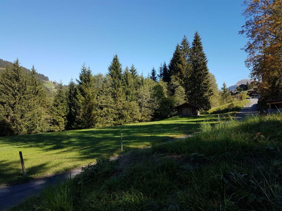 Chalet Grüneggli Adelboden Dış mekan fotoğraf