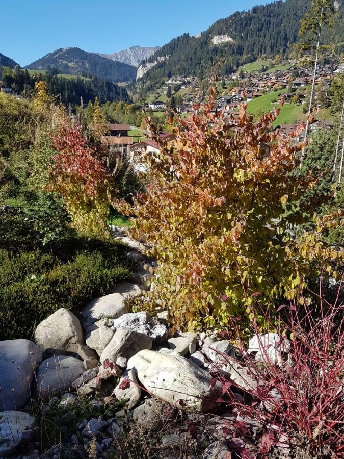 Chalet Grüneggli Adelboden Dış mekan fotoğraf
